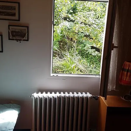 Liska Česká Kamenice